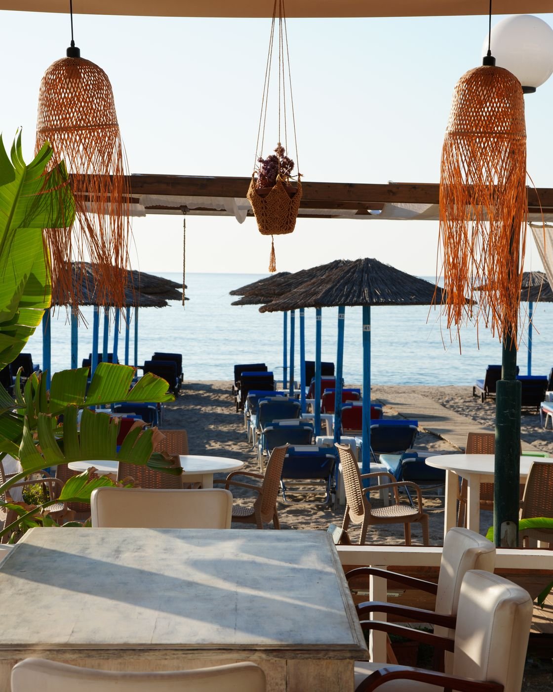Under the pergola